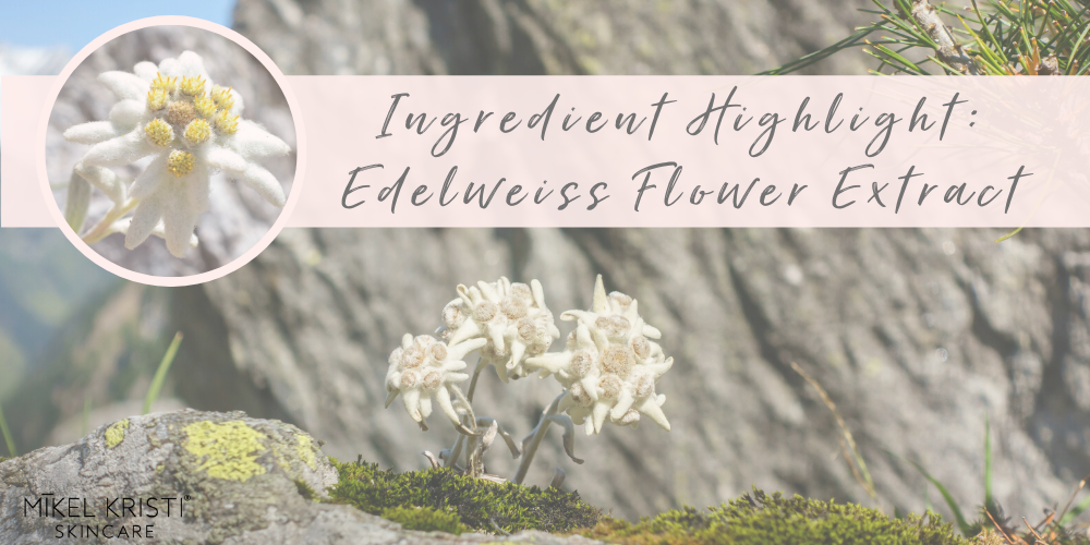Ingredient Spotlight: Edelweiss Flower Extract - Mikel Kristi