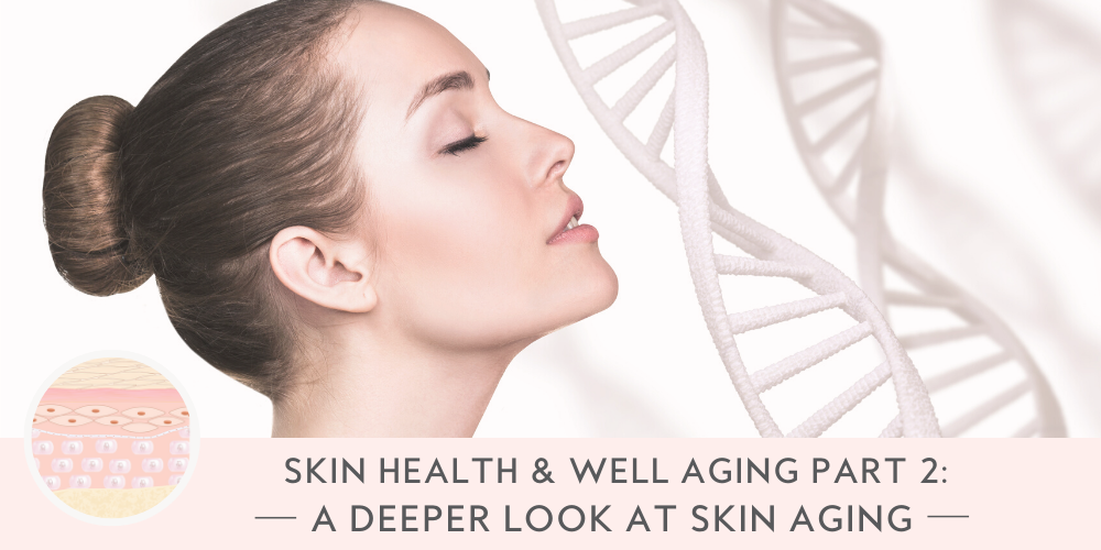 Skin Health & Well Aging Part 2: A Deeper Look At Skin Aging - Mikel Kristi