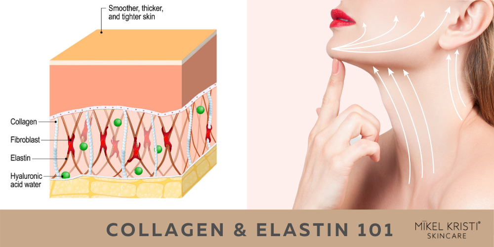Collagen & Elastin 101 blog post cover by Mikel Kristi Skincare