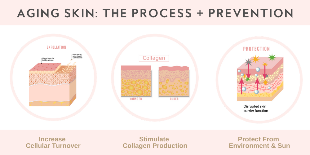 Mikel Kristi Skincare Cosmeceutical Brand Blog Post Cover, Aging Skin: The Process + Prevention