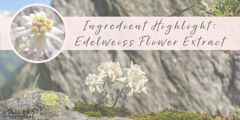 Ingredient Spotlight:  Edelweiss Flower Extract - Mikel Kristi