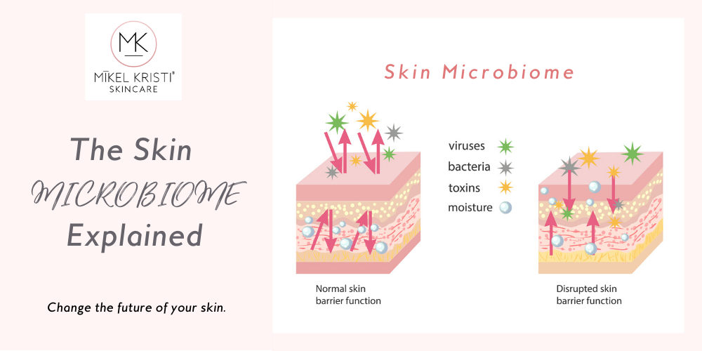 The Skin Microbiome Explained blog cover by Mikel Kristi Cosmeceutical Skincare